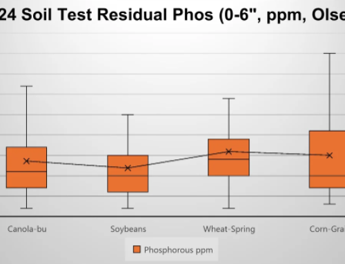 Phosphate Residual in 2024